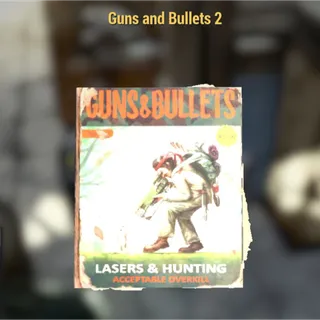 guns and bullets 2 x100