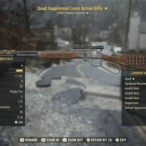 nw invalid lever rifle