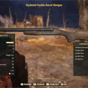 Nw invalid Double Barrel
