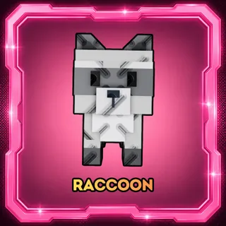  🦝 1x Raccoon | Instant Delivery 🚀