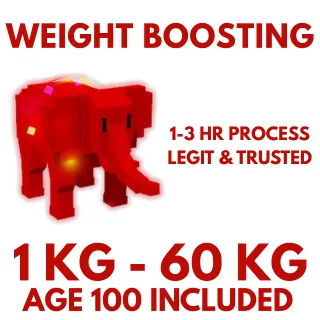 60 KG Weight Boosting Service