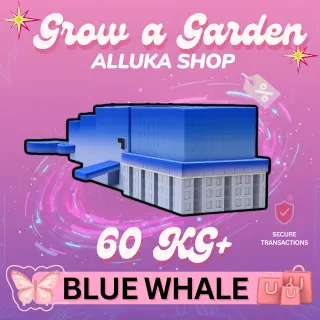 Blue Whale 60 Kg+