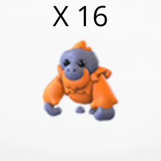 X 16 orangutan