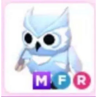 MFR snow owl