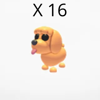 X 16 toy poodle