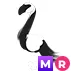 MR slimingo