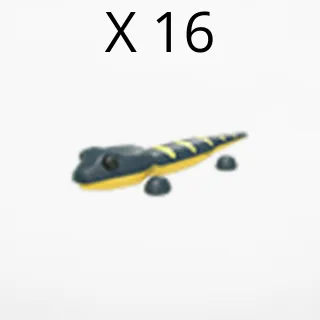 X 16 salamander