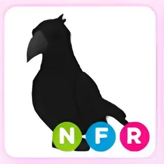 NFR crow