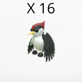 X 16 woodpecker