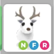 NFR arctic reindeer