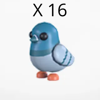 X 16 rock pigeon