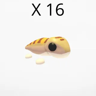 X 16 sandfish