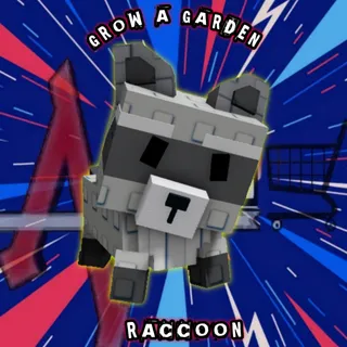 Huge nightmare raccoon 60kg+