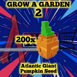 200x Atlantic Giant Pumpkin
