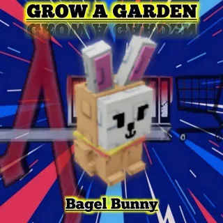 Bagel Bunny 5kg+ Base