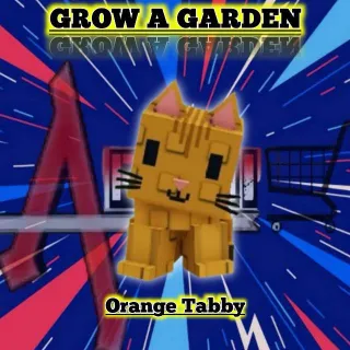 rainbow  Orange Tabby 60kg+