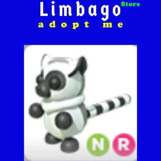 Ring-tailed Lemur NR