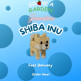 5x Shiba Inu (Uncommon) - Grow A Garden