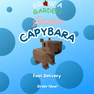 3x Capybara (Legendary) - Grow A Garden