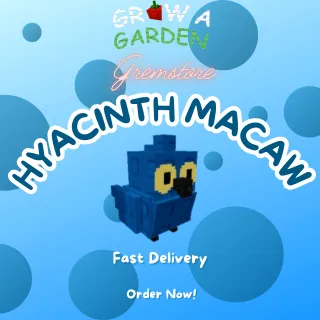 Hyacinth Macaw (Mythical) - Grow A Garden