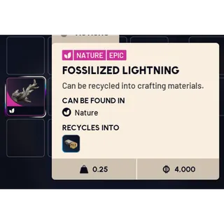 Fossilized Lightning