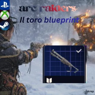 IL toro blueprint