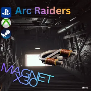 Magnet x30
