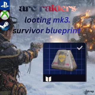 looting mk3. survivor