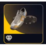  Colorful Shoes (Legendary) x1