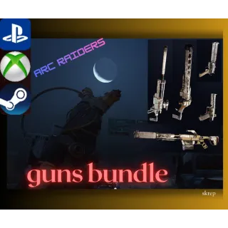 Gun bundle
