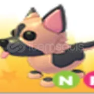 NR GERMAN SHEPHERD 