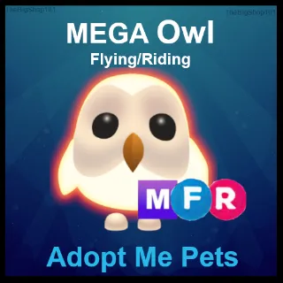 MFR Owl