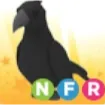 nfr crow