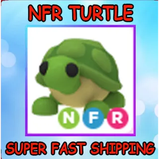Turtle | NFR Turtle