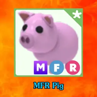 PIG MFR