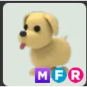 MFR Dog
