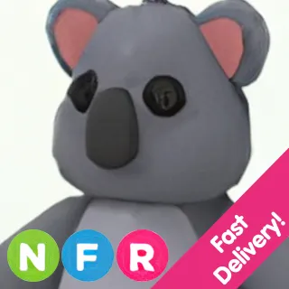 NFR KOALA