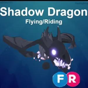 Shadow Dragon FR