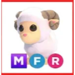 MFR RAM