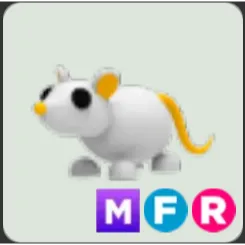 Golden Rat MFR