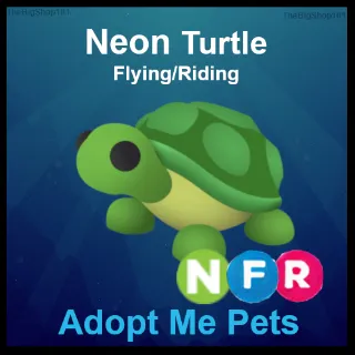 NFR Turtle