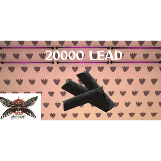20000 lead