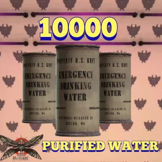 Purified water 