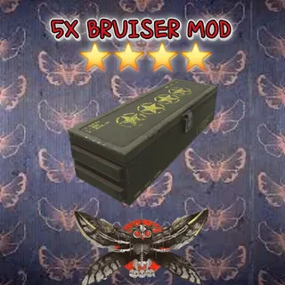 5 bruiser mod