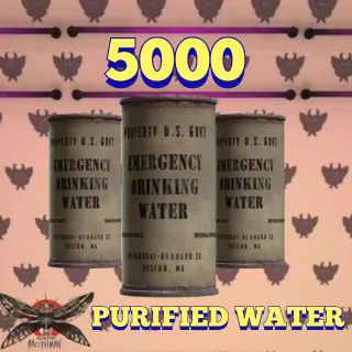 Purified water 