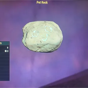 (CFT) PET ROCK