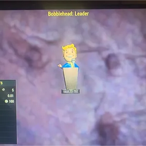 500x LEADER BOBBLEHEADS