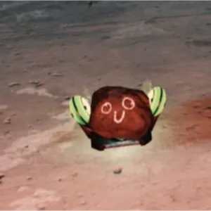 (CFT) PET ROCK