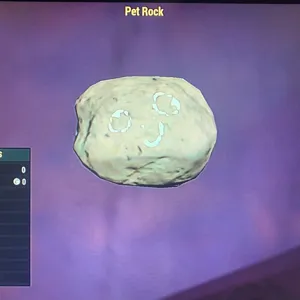 (CFT) PET ROCK