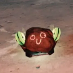 (CFT) PET ROCK